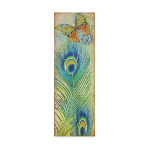 Trademark Fine Art Jean Plout 'Peacock Feather' Canvas Art, 6x19 ALI30106-C619GG